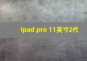 ipad pro 11英寸2代