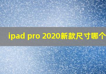 ipad pro 2020新款尺寸哪个好