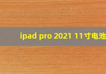 ipad pro 2021 11寸电池