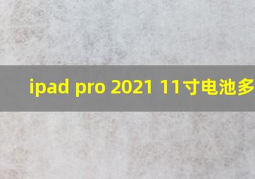 ipad pro 2021 11寸电池多大