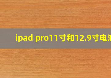 ipad pro11寸和12.9寸电池