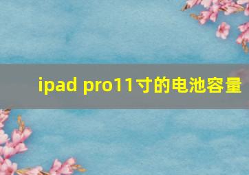 ipad pro11寸的电池容量