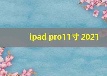 ipad pro11寸 2021