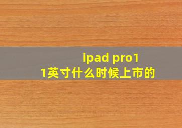 ipad pro11英寸什么时候上市的