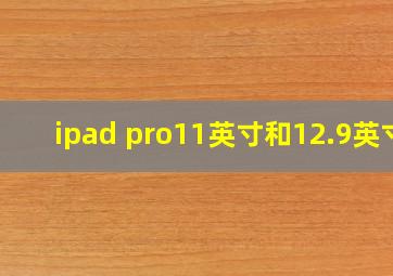 ipad pro11英寸和12.9英寸