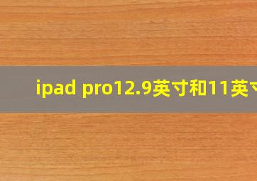 ipad pro12.9英寸和11英寸