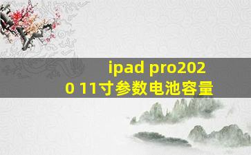 ipad pro2020 11寸参数电池容量