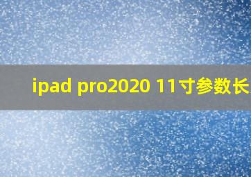 ipad pro2020 11寸参数长宽