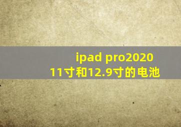 ipad pro2020 11寸和12.9寸的电池