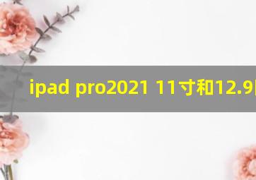 ipad pro2021 11寸和12.9区别