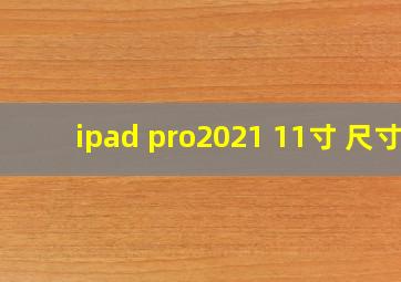 ipad pro2021 11寸 尺寸