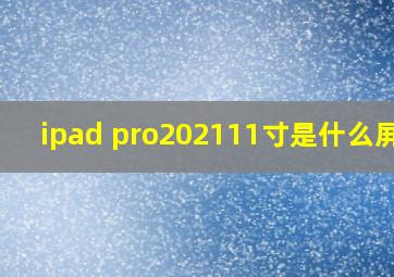 ipad pro202111寸是什么屏幕