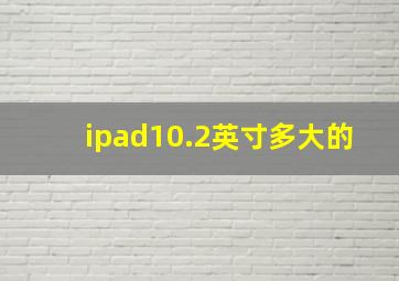 ipad10.2英寸多大的