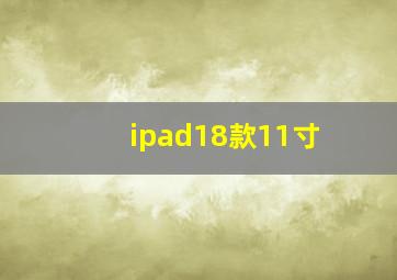 ipad18款11寸