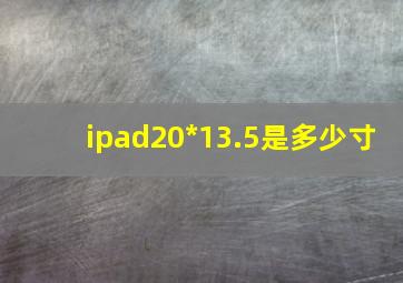 ipad20*13.5是多少寸