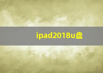 ipad2018u盘