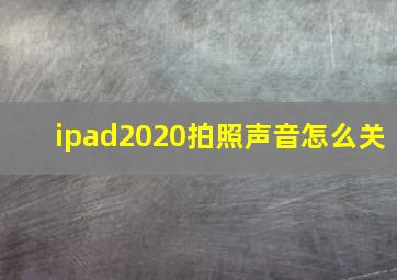 ipad2020拍照声音怎么关