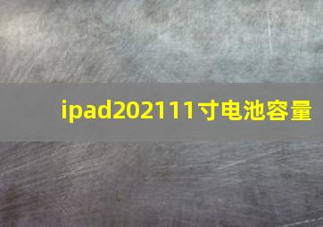 ipad202111寸电池容量