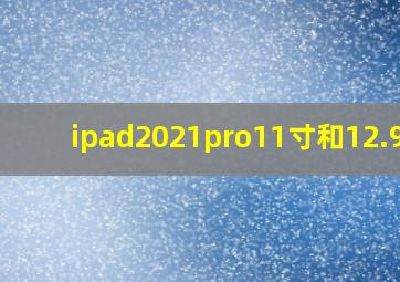 ipad2021pro11寸和12.9寸