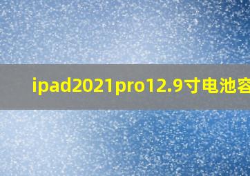 ipad2021pro12.9寸电池容量