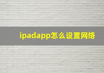 ipadapp怎么设置网络