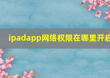 ipadapp网络权限在哪里开启