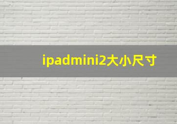 ipadmini2大小尺寸