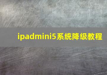 ipadmini5系统降级教程