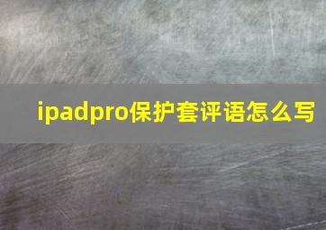 ipadpro保护套评语怎么写