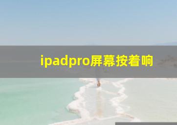 ipadpro屏幕按着响