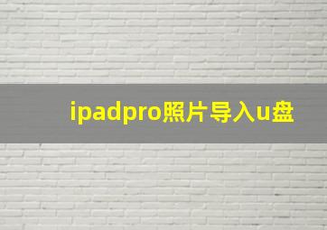 ipadpro照片导入u盘