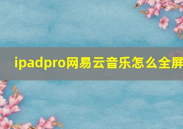 ipadpro网易云音乐怎么全屏