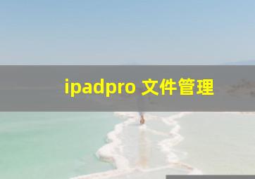 ipadpro 文件管理