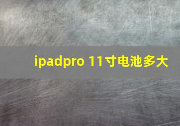 ipadpro 11寸电池多大