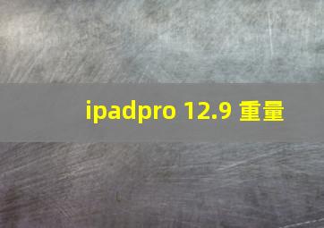 ipadpro 12.9 重量