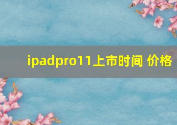 ipadpro11上市时间 价格