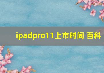 ipadpro11上市时间 百科