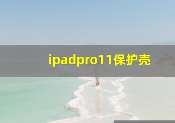 ipadpro11保护壳