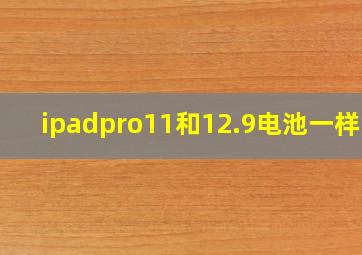 ipadpro11和12.9电池一样吗