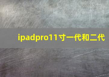 ipadpro11寸一代和二代