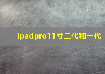 ipadpro11寸二代和一代