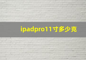 ipadpro11寸多少克