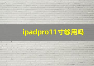 ipadpro11寸够用吗