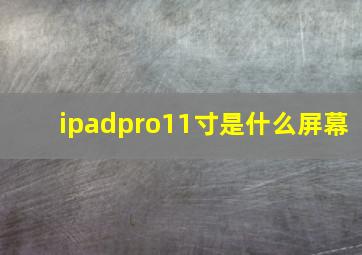 ipadpro11寸是什么屏幕