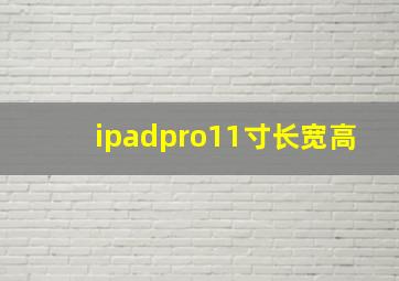 ipadpro11寸长宽高