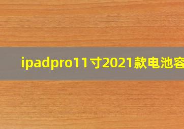 ipadpro11寸2021款电池容量