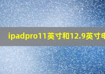 ipadpro11英寸和12.9英寸电池