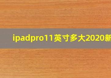 ipadpro11英寸多大2020新款