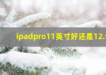 ipadpro11英寸好还是12.9