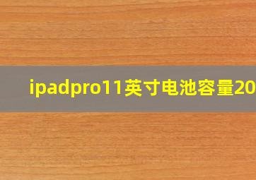 ipadpro11英寸电池容量2022